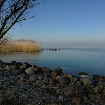 Virágos * Balatonszárszó